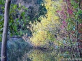 2/11 Herbst am Max-Eyth-See