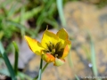 6/46 unbekannt