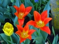 7/85 unbekannt