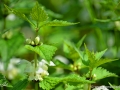 5/25 unbekannt