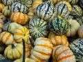 10/9 Kürbisse