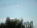 15/2 Mond