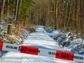 JKCarl_Week_03_2013.JPG