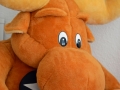 JKCarl_Week_06_2013.JPG