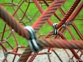 JKCarl_Week_15_2013.JPG