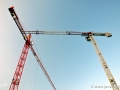 JKCarl_Week_16_2013.JPG