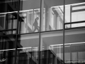 JKCarl_Week_46_2013.JPG