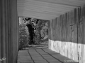 JKCarl_Week_03_2014