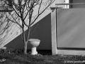 JKCarl_Week_09_2014