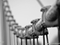 JKCarl_Week_13_2014
