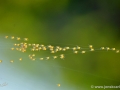 JKCarl_Week_19_2014