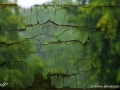 JKCarl_Week_34_2014