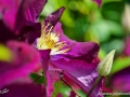 JKCarl_Week_38_2014