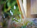 JKCarl_Week_03_2015