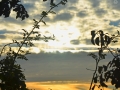 12/3 Sonne