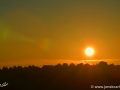 12/14 Sonne