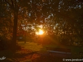 12/16 Sonne