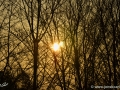 12/25 Sonne