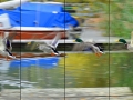 9/1 Stockentenflug (Fotomontage)