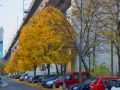 53/8 Viadukt König Wilhelm